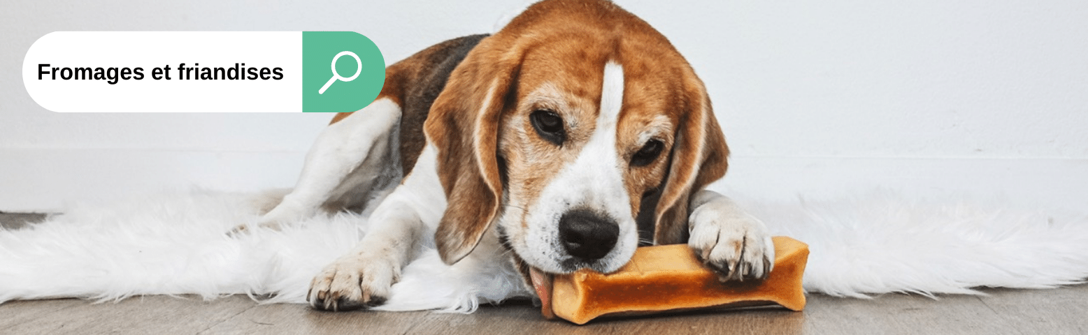 Fromages et friandises pour chiens evident